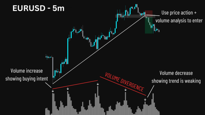 How to Use the Volume Indicator to Improve Trade Decisions | FXIFY