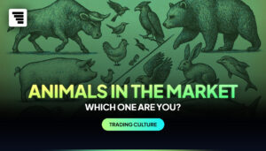 Trading Zoo: Why We Use Animals to Describe the Stock Market
