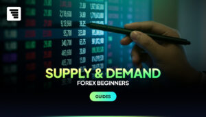 Supply and Demand Trading for Forex Beginners